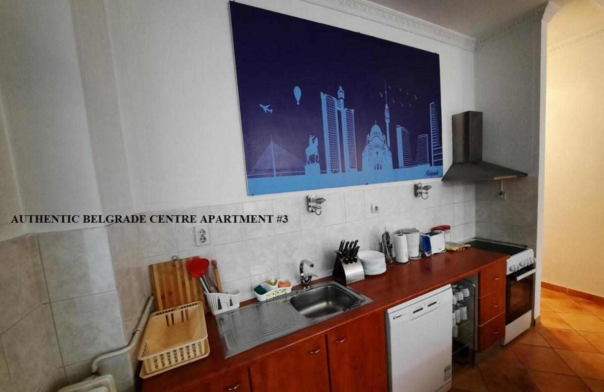 Authentic Belgrade Centre Apartments For Large Groups, Republic Square - Up To 47 People In 5 Apartments المظهر الخارجي الصورة